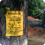 В Москве всё реже можно встретить такое объявление.